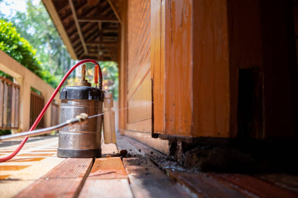 Best Wasp Removal Services  in Darrington, WA