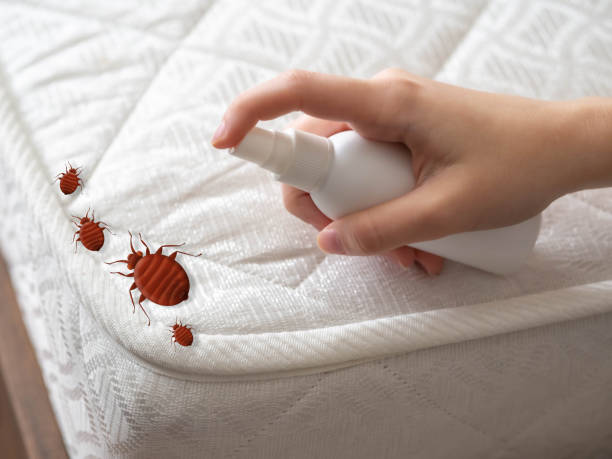 Best Commercial Pest Control Services  in Darrington, WA
