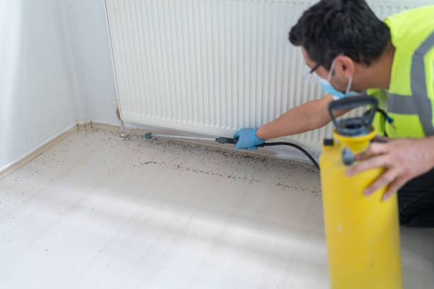 Best Pest Prevention Services  in Darrington, WA