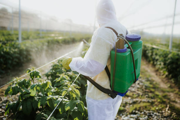 Best Bed Bug Extermination  in Darrington, WA
